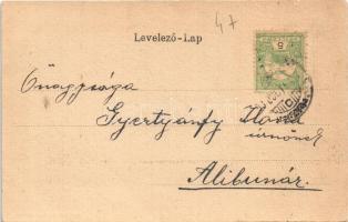 Ungvár, Uzshorod, Uzhhorod, Uzhorod; vár. Feuerlicht testvérek kiadása. Címeres szecessziós keret / ...