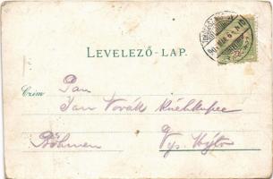 1901 Turócszentmárton, Turciansky Svaty Martin; Fő utca, Sörfőzde, Állami tanintézetek, Ágostai evan...