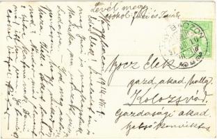 1914 Nagybacon, Nagy-Baczon, Batanii Mari; református templom / Calvinist church