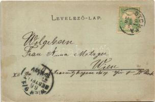 1901 Stomfa, Stupava; Hattyú tó este / Schwanenteich / lake at night (EK)