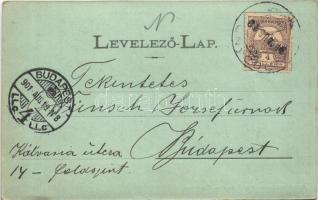 1901 Nagybánya, Baia Mare; Magyar utca télen / street in winter