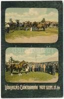 1907 Csáktornya, Cakovec; lódíjazás. Fischel Fülöp (Strausz Sándor) kiadása / horse remuneration