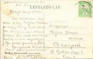 1911 Szlatinafüred, Slatina (Aknaszlatina, Máramaros); Pável sósfürdő. Wizner és Dávid kiadása / sal...