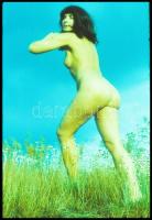 cca 1975 Két modell, öt expozíció, szolidan erotikus felvételek, 3 db vintage NEGATÍV + 2 db vintage...