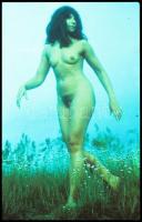 cca 1975 Két modell, öt expozíció, szolidan erotikus felvételek, 3 db vintage NEGATÍV + 2 db vintage...