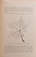 Pettenkoffer Sándor: Szőlőművelés. Bp., 1930, "Pátria, 431 p. Szövegközti ábrákkal. Átkötött fé...