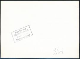 1953 Magyarország-Anglia (7-1) meccs, sajtófotó, 13×17,5 cm