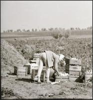 cca 1960 és 1970 között készült riport felvételek többféle témáról, különböző helyszíneken, Kotnyek ...