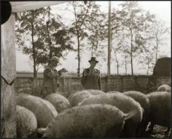 cca 1960 és 1970 között készült riport felvételek többféle témáról, különböző helyszíneken, Kotnyek ...