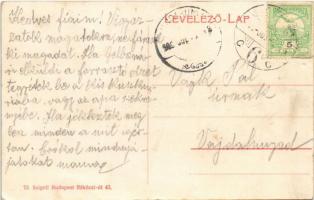 1906 Tövis, Teius; Piac tér, Izráel Adolf zsidó üzlete. Judaika / square, Jewish shop. Judaica