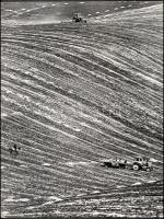 cca 1975 Zsigri Oszkár (1933-?) budapesti fotóművész hagyatékából vintage fotóművészeti alkotás (Lucerna betakarítás Piliscsév határában), feliratozva, kasírozva, sarkán törésnyom, 38x3x29,2 cm