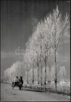 cca 1960 Medgyesi László (?-?) kecskeméti fotóművész hagyatékából feliratozott vintage fotóművészeti alkotás (téli táj), 39x27 cm