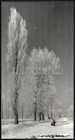 cca 1961 Dezső Pál (?-?) kecskeméti fotóművész hagyatékából feliratozott vintage fotóművészeti alkotás (Téli táj, szánkózók), hátoldalán kiállítási emlékjegyek, 37,5x20 cm