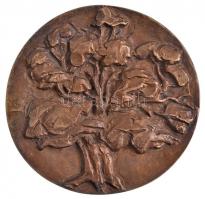 Martsa István (1899-1986) 1964. "Bábolnai Állami Gazdaság" egyoldalas Br plakett (334g/~87...