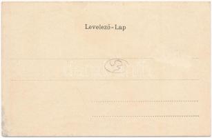 Kolozsvár, Cluj; Schuster Emil kiadása, szecessziós virágos litho / Art Nouveau, floral, litho (Rb)