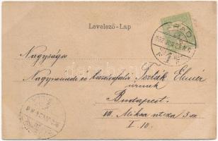 1902 Arad. Szecessziós címeres litho keret / Art Nouveau, coat of arms, litho