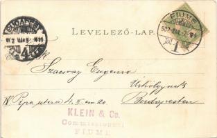 1902 Fiume, Rijeka; Il Porto, Teatro / port, ships, theatre. Art Nouveau, floral, litho