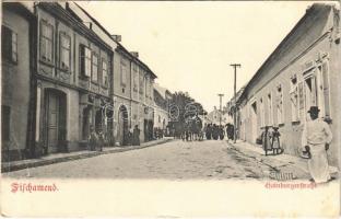 1910 Fisschamend, Hainburgerstrasse / street (EB)