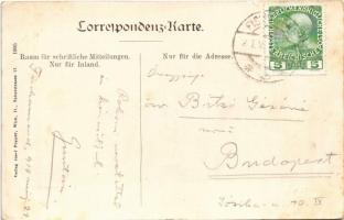 1910 Fisschamend, Hainburgerstrasse / street (EB)