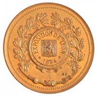 Franciaország 1894. "Lyon-i Kiállítás 1894" kétoldalas, aranyozott Br emlékérem. Szign.: A...