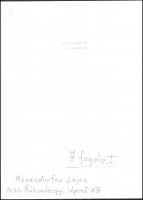 cca 1988 Menesdorfer Lajos (1941-2005) budapesti fotóművész hagyatékából, feliratozott vintage fotóm...