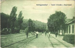 1918 Szilágysomlyó, Simleu Silvaniei; vasútállomás a fenyvessel / railway station with pine woods (EK)