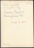 cca 1910 Liptói-hegyvidék, Deményfalvi-völgy, Erdélyi Mór felvétele, hátulján feliratozva, 11,5×16 c...