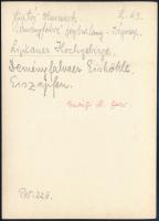 cca 1910 Liptói-hegyvidék, Deményfalvi-völgy, Erdélyi Mór felvétele, hátulján feliratozva, 11,5×16 c...