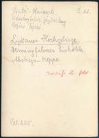 cca 1910 Liptói-hegyvidék, Deményfalvi-völgy, Erdélyi Mór felvétele, hátulján feliratozva, 11,5×16 c...