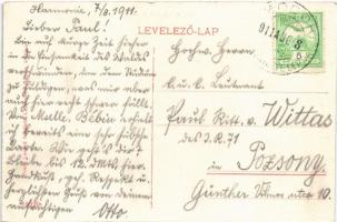 1911 Modor-Harmónia, Modor, Modra; Erdőrészlet a Sándor úton. Prein Lorand felvétele, Laczkovich Rób...