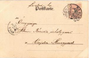 1899 Ducks, hunter art postcard. Theo. Stroefer's Kunstverlag Jagd-Postkarte Nr. 6