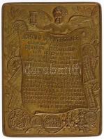 Ausztria 1897. Johann Schwerdtert ábrázoló kétoldalas Br emlékplakett, előlapon az éremművész, hátla...