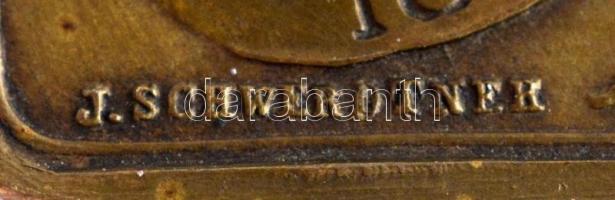 Ausztria 1897. Johann Schwerdtert ábrázoló kétoldalas Br emlékplakett, előlapon az éremművész, hátla...