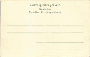 Abbazia, Opatija; Mövenfütterung an der Slatina-Promenade / sirályok etetése, Hunyadi János keserűví...