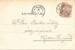 1900 Art Nouveau lady art postcard, floral. litho