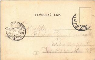 1902 Budakeszi, Erzsébet királyné szanatórium télen, konyha belső (La cuisine)