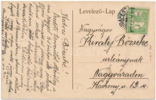 1916 Budapest V. Országház a jövőben. montázs. L. és P. 2646. / in the future montage