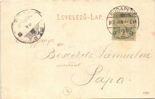 1905 Budapest I. Tabán, Döbrentei tér, Hoffmann Gyula china ezüst és alpacca áruk gyári raktára, üzl...