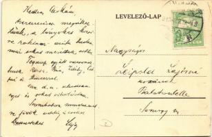 1913 Budapest IX. Ferencváros, Fehérkereszt gyermek kórház a Tűzoltó utcában (EK)