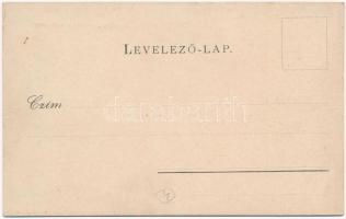 Budapest VIII. Kerepesi út (Rákóczi út), Nemzeti Színház, Fraenkl Henrik és Dober Ede üzlete, villam...