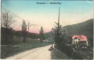 1914 Budapest II. Hűvösvölgy, villamos, nyaraló