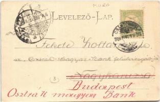 1904 Csáktornya, Cakovec; Fő tér, Heinrich Miksa és Neumann Albert üzlete / main square, shops