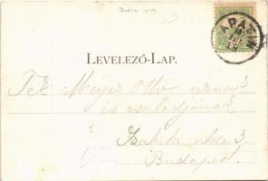 1902 Apatin, polgári iskola, Gasz Mátyás üzlete / schoo, shop