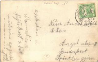 1913 Pétervárad, Peterwardein, Petrovaradin (Újvidék, Novi Sad); vár, nyitott hajóhíd, POLLUX gőzüze...