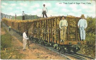 Cuba, Train load of sugar cana (fl)