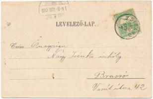 1902 Zsigárd, Zigárd, Zihárec; Római katolikus és református templom, Özv. Erdély Lajosné üzlete. Go...