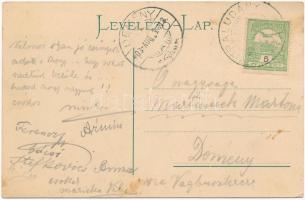 1908 Felsőbodok, Nagy-Bodok, Horné Obdokovce; Stummer kastély / castle