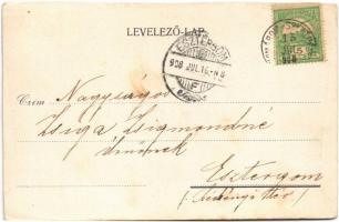 1908 Komáromszentpéter, Komárom-Szt.-Péter, Svaty (Dolny) Peter; Fő utca, gémes kút, Szentháromság s...