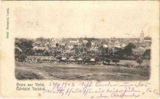 1903 Verbó, Vrbové; látkép a zsinagógával. Emanuel kiadása / general view with synagogue