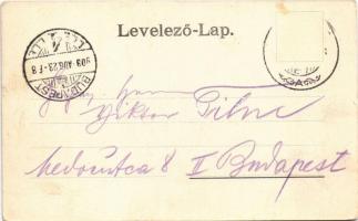 1903 Verbó, Vrbové; látkép a zsinagógával. Emanuel kiadása  / general view with synagogue